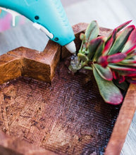 Wooden Succulent Heart DIY Kit