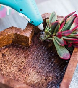 Wooden Succulent Heart DIY Kit