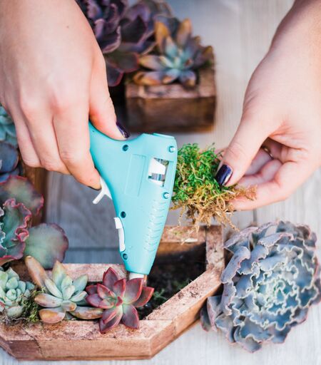 10 inch Succulent Letter DIY Kit – In Succulent Love