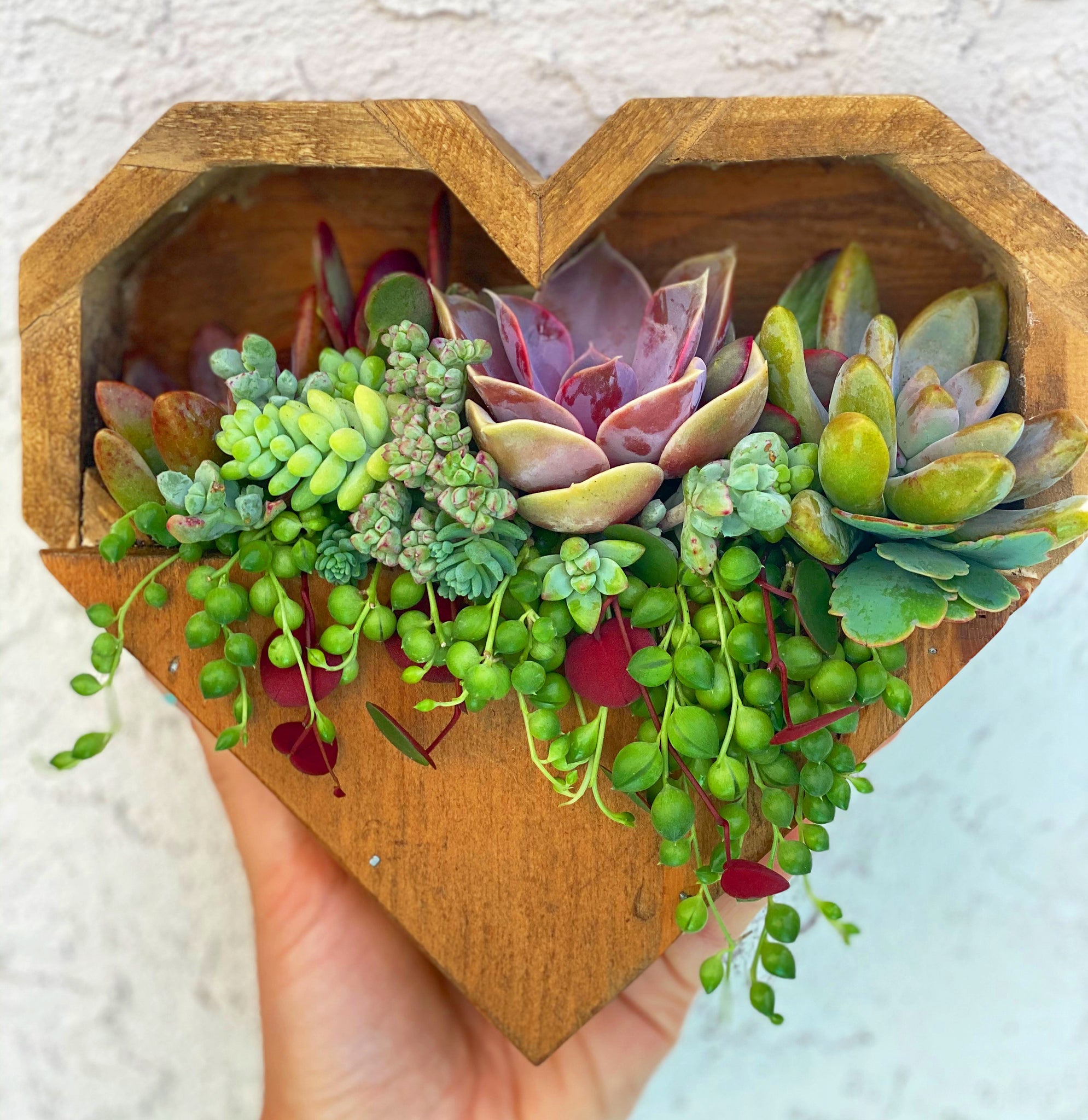 Hanging Heart Planter DIY Kit – In Succulent Love